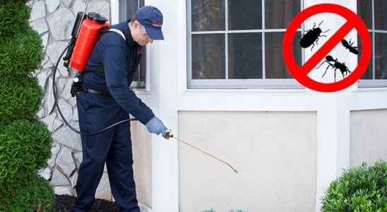 Aşkale Gümüşkurt İlaçlama böcek ilaçlama ve haşere kontrolü — ilaclama-tr.com